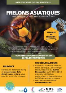 Programme de lutte contre le frelon asiatique