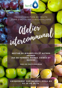 Ouverture de l'atelier fruits